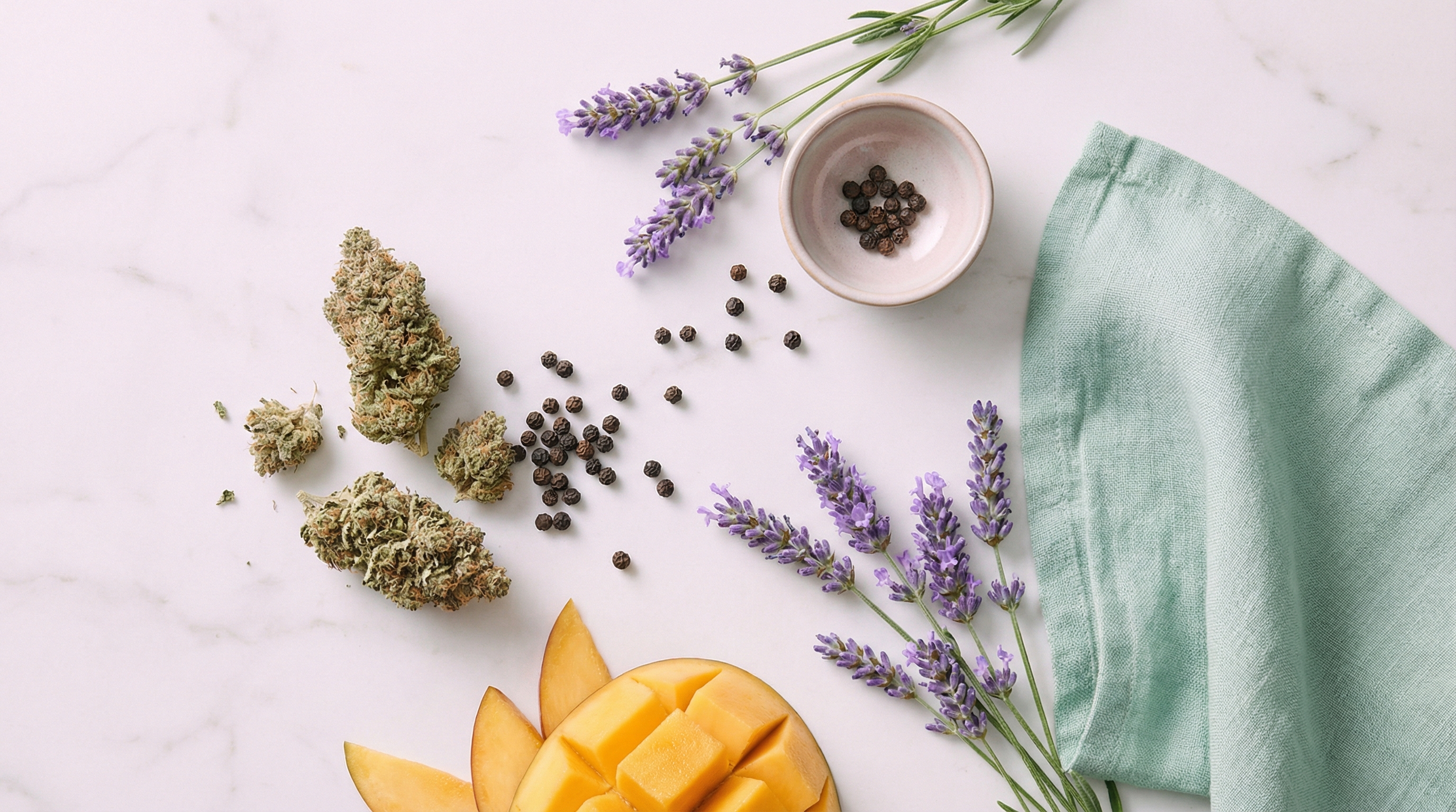 Terpenes like caryophyllene (black pepper), linalool (lavender), and myrcene (mango) each contribute distinct pain-relieving mechanisms.