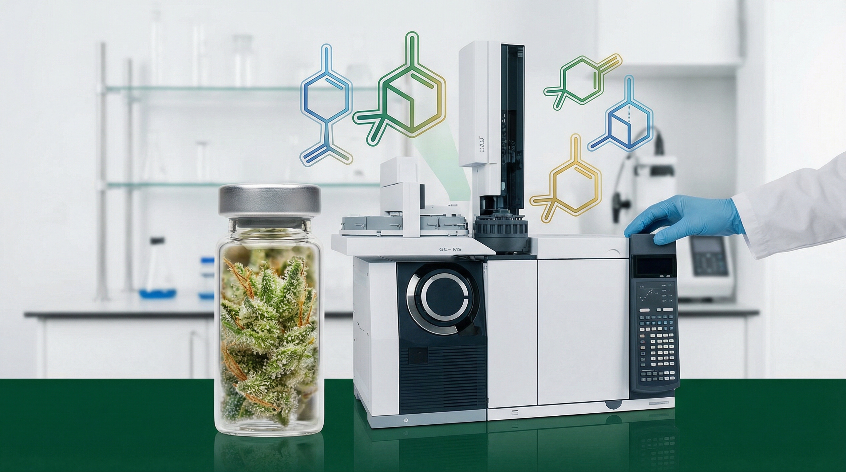 GC-MS analysis allows scientists to identify the exact chemical fingerprint of each cannabis strain