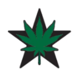 Star Buds logo