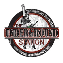 The Underground Station logo