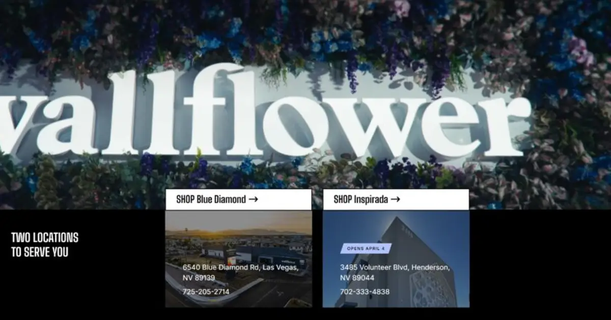 Image Wallflower House shares on its website