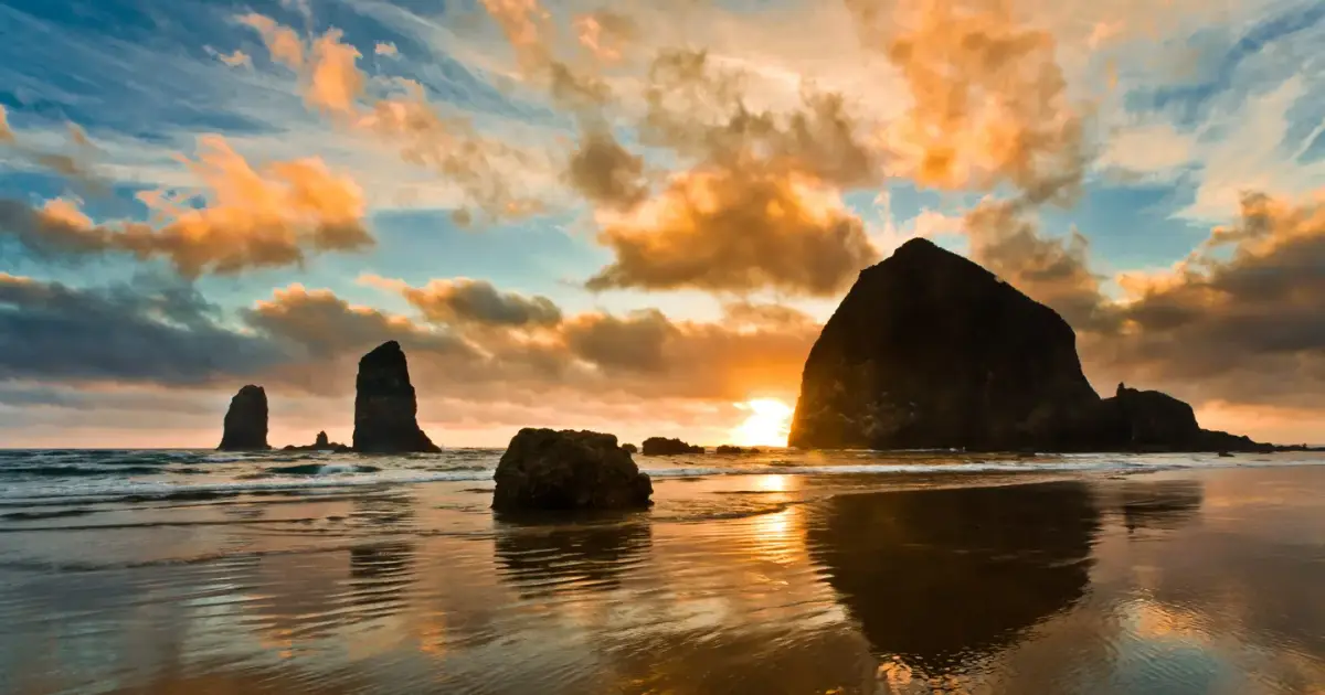 Image Oregon Bud Company shares on its website
