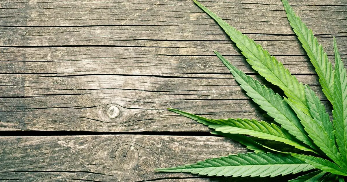 Image Coastal Craft Cannabis shares on its website