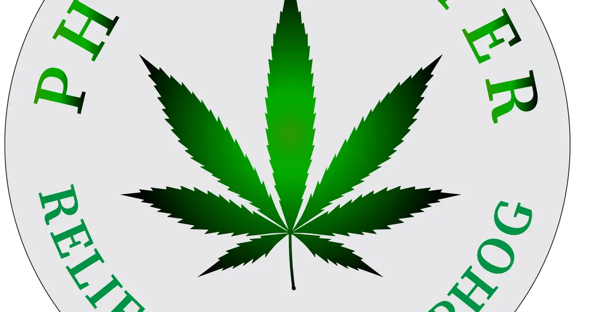 Image The Phog Center Pacifica Cannabis Company shares on its website