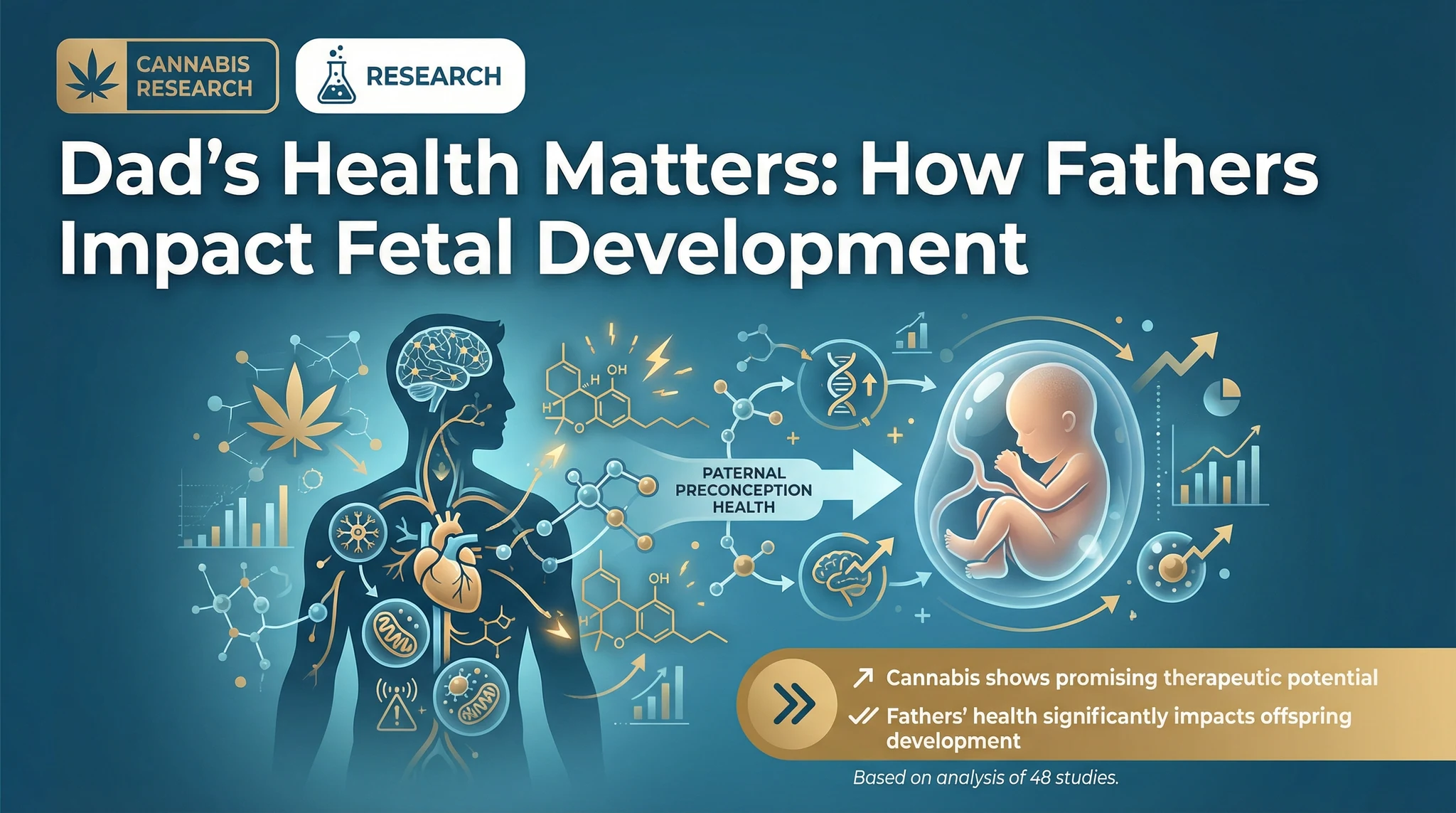 The influence of paternal preconception health on birth... | Cannabis ...