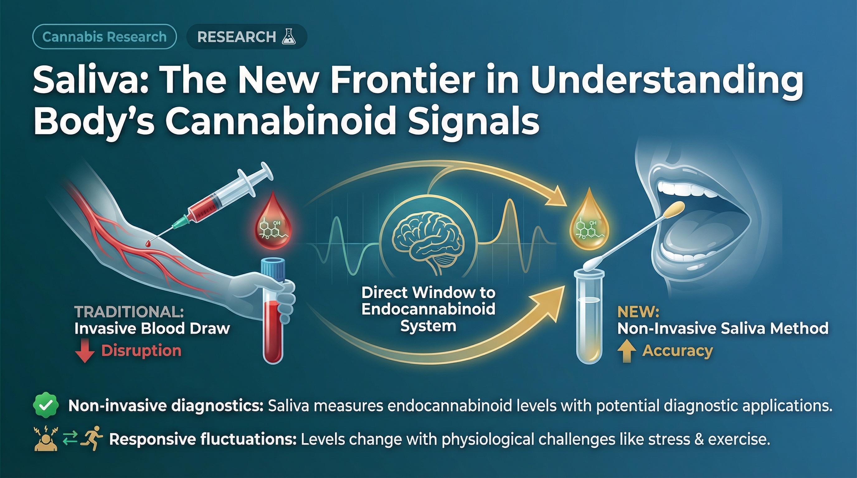 Scientific illustration for Endocannabinoids in Saliva: Origins, Significance, and Research Directions.