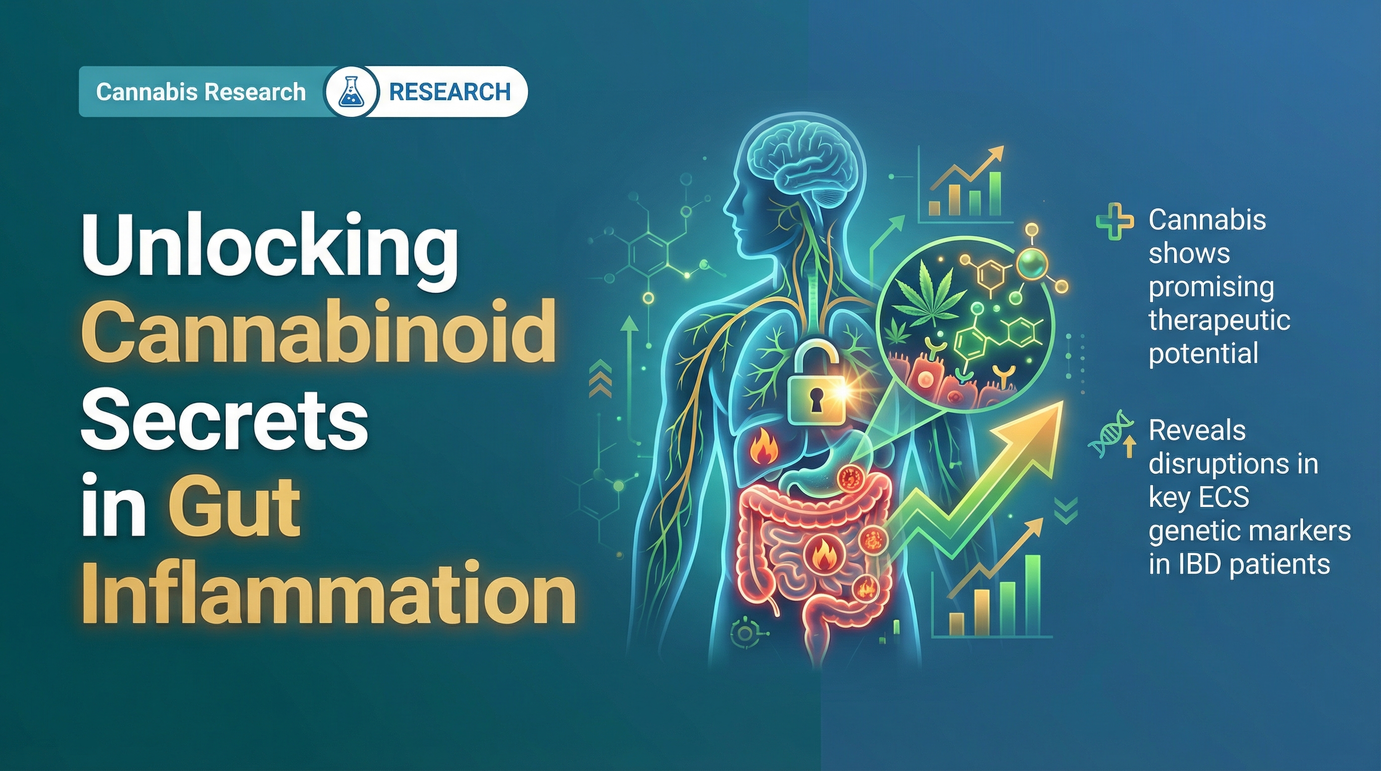 Scientific illustration for Altered endocannabinoid system gene expression in inflammatory bowel disease mucosa: New perspectives in inflammatory bowel disease management.