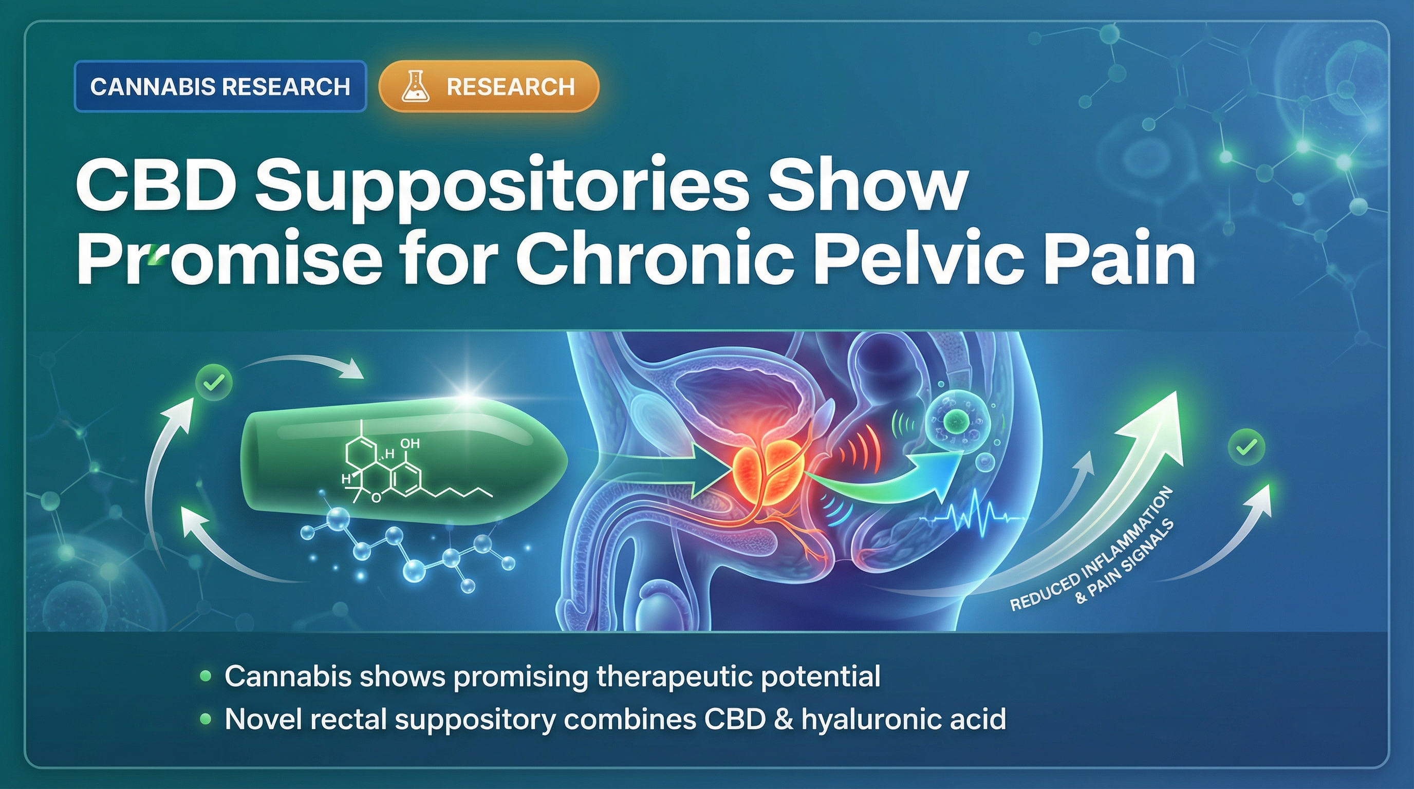 Scientific illustration for Cannabidiol-hyaluronic acid combination delivered rectally for attenuating abacterial prostatitis symptoms: Single-arm open-label pilot clinical trial.