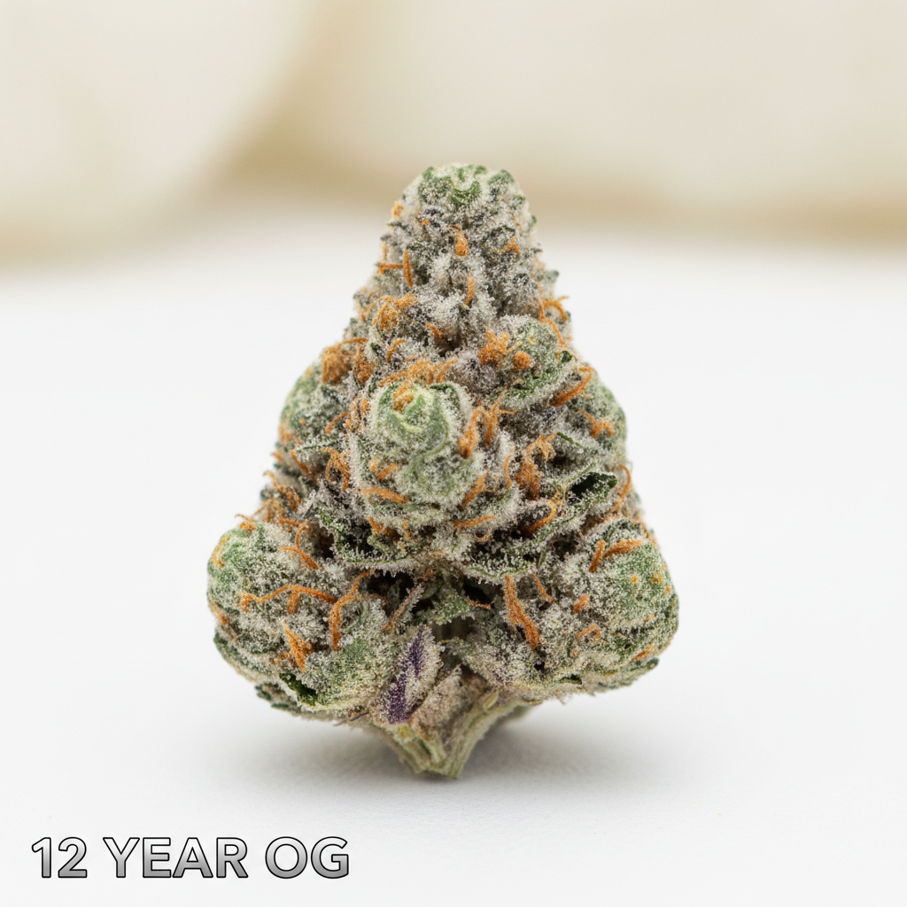 12 Year OG cannabis strain